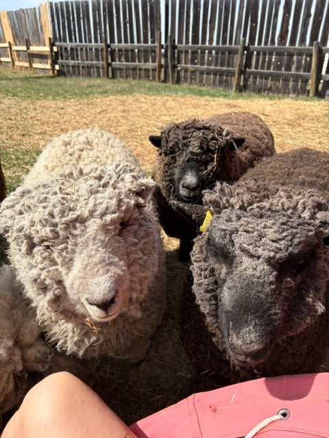Farm Tours