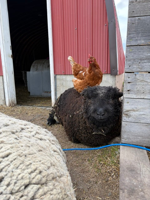 Farm Tours