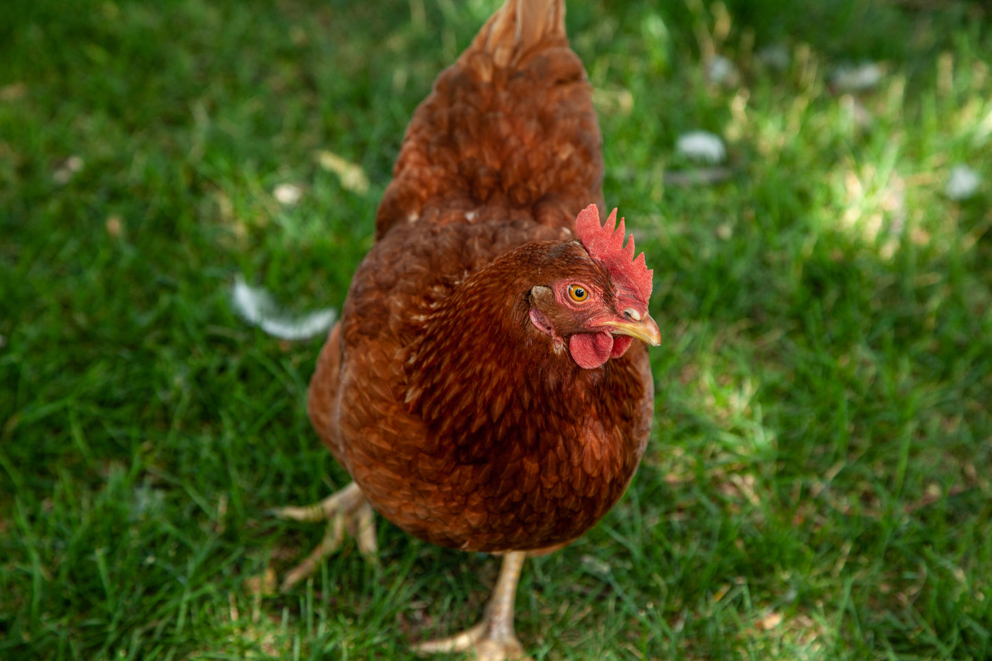 Farm Tours