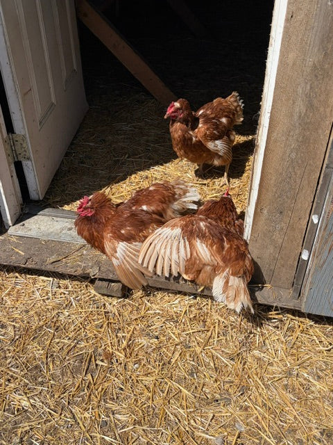 Farm Tours