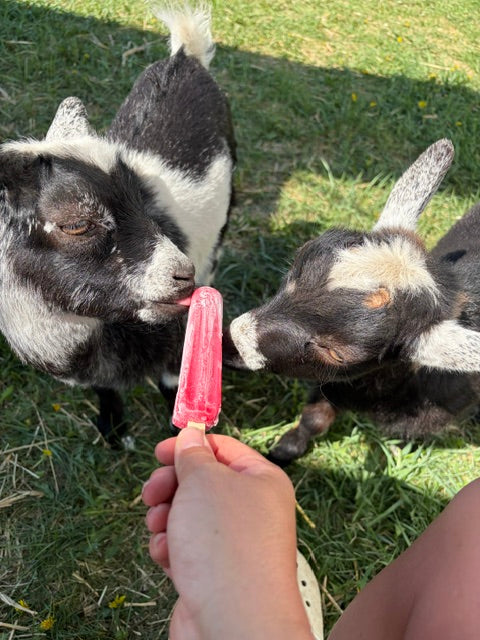 Farm Tours