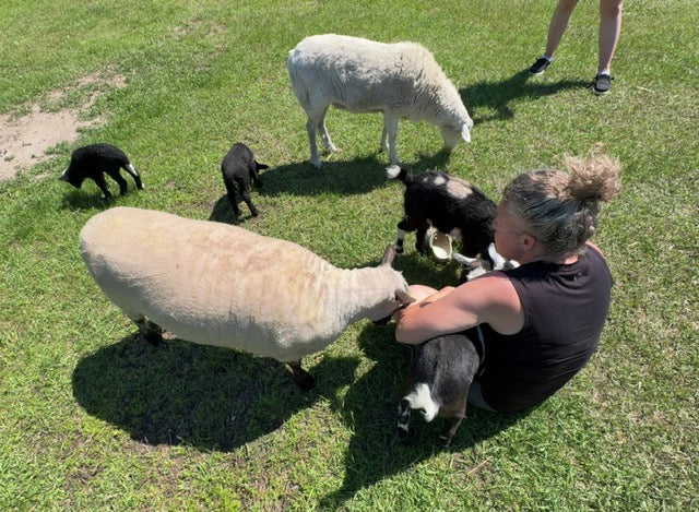 Farm Tours