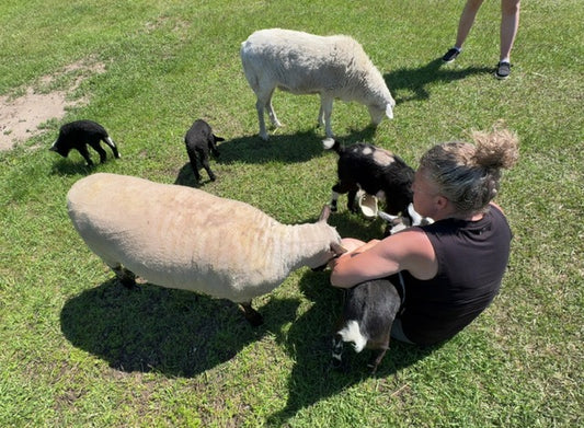 Farm Tours