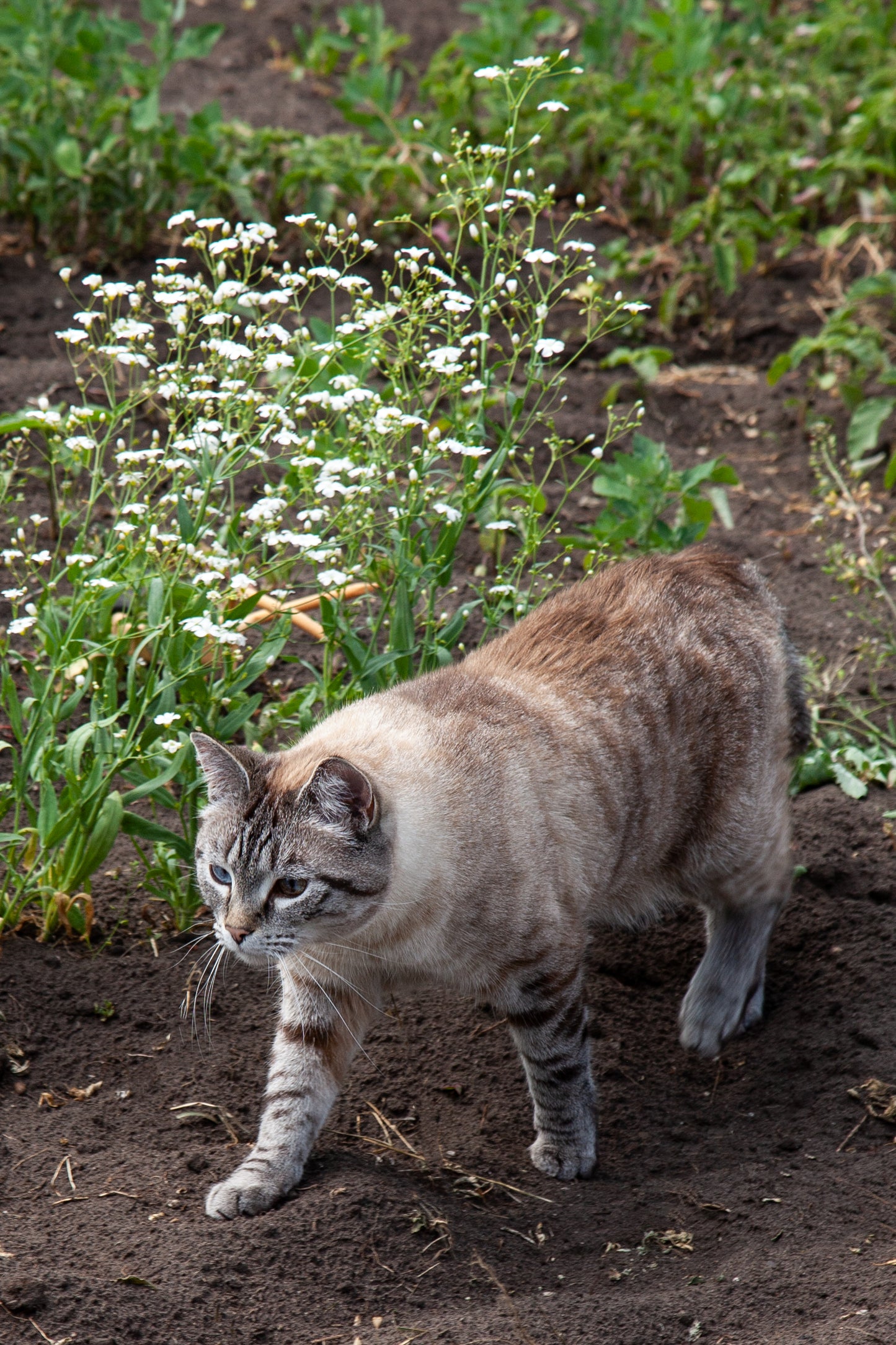 Farm Tours