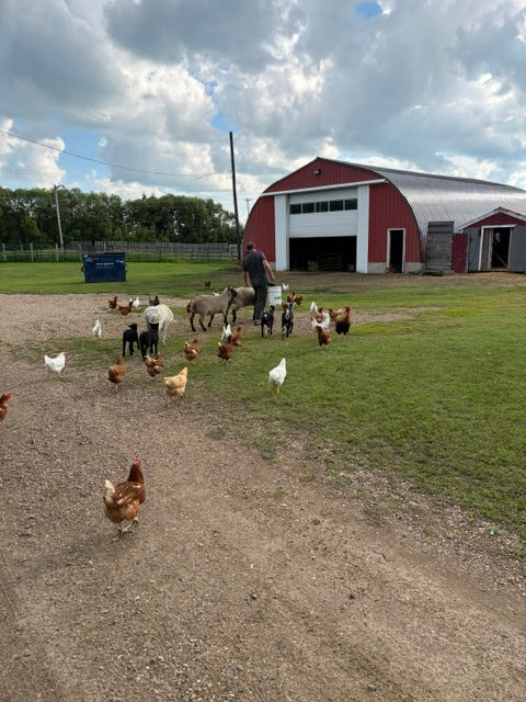 Farm Tours
