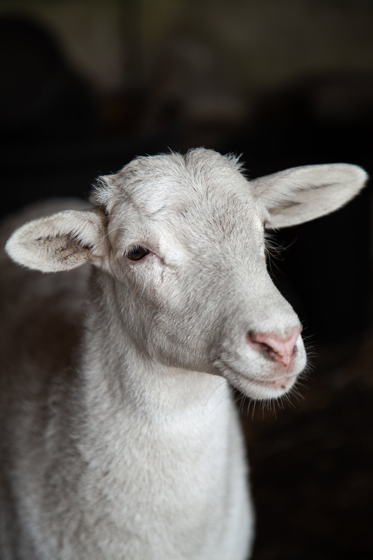Farm Tours